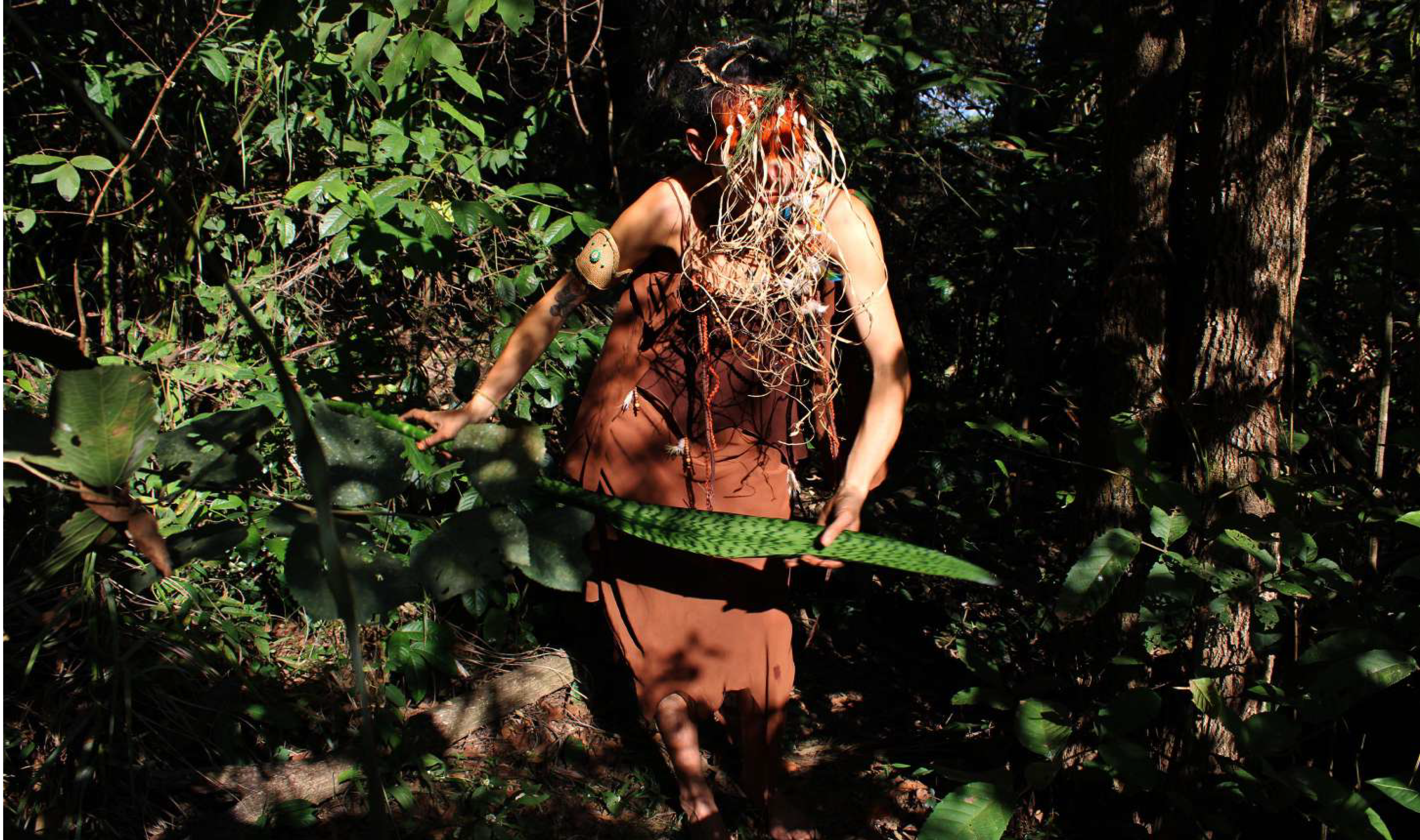 A Serpente Que Virou Estrela