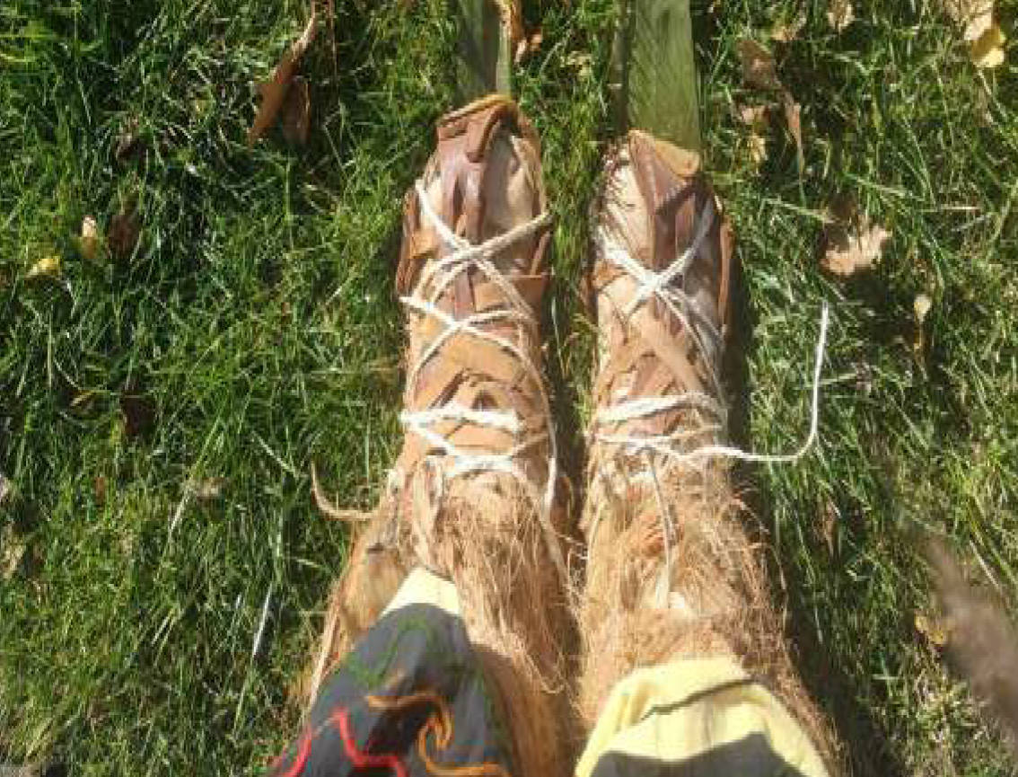 Dez Dias Sem Pisar Em NY